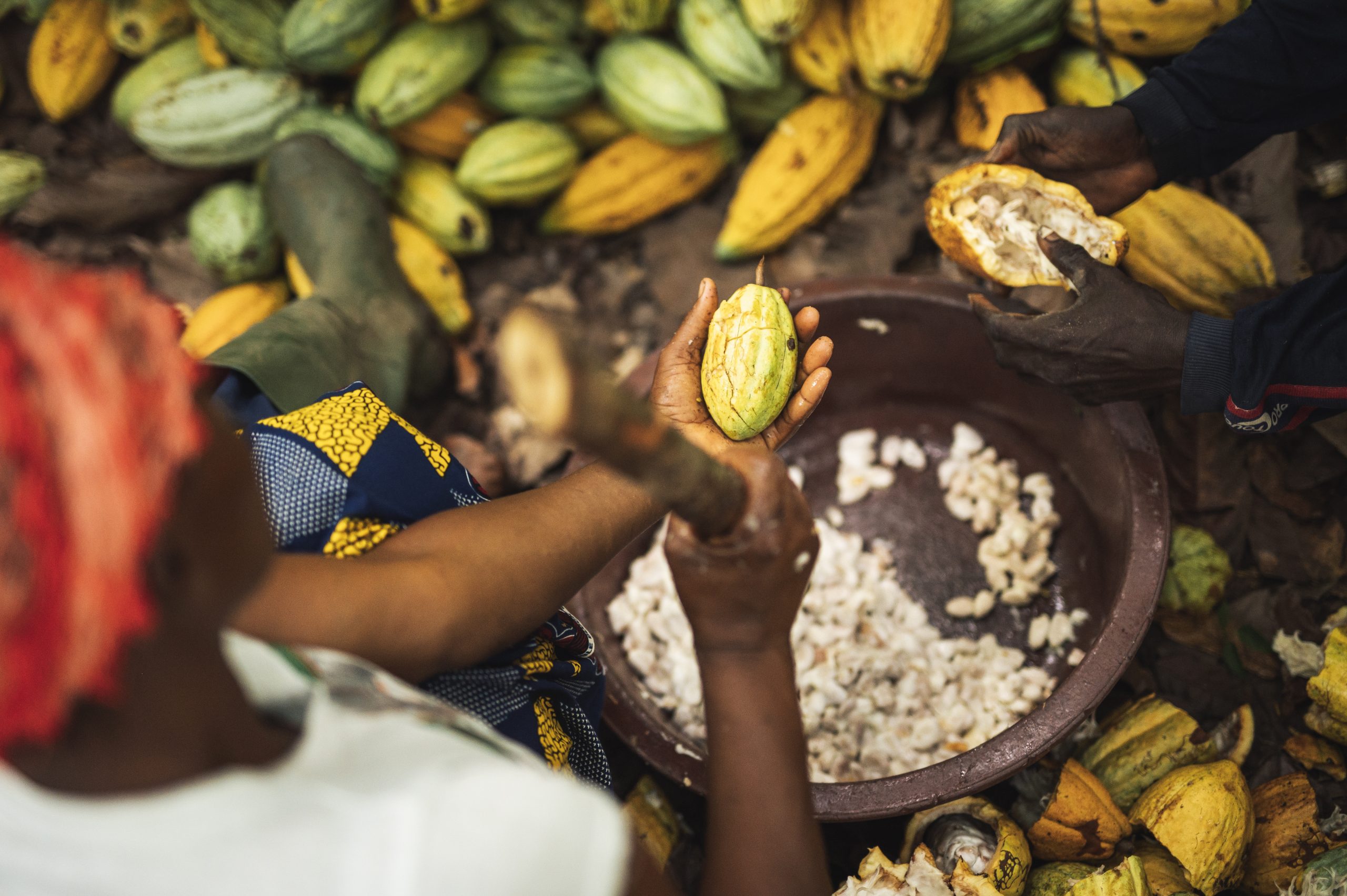 About Fairtrade Africa